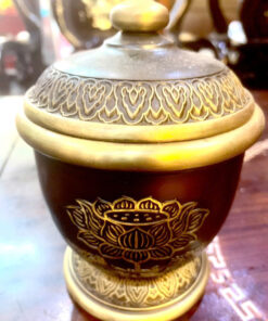 Bảo Bình Đồng Đen